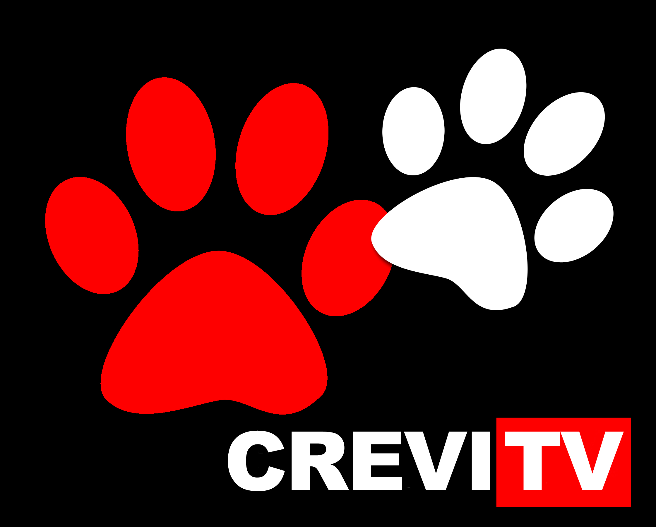 <i>CREVI TV</i> <i>una imagen vale</i> <i>mas que mil palabras</i>